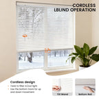 White PVC Mini Blinds